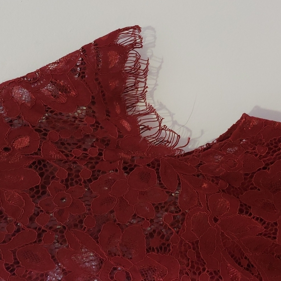Petal & Pup V-neck Lace Lucille Dress In Wine Size 4 - Picture 8 of 12